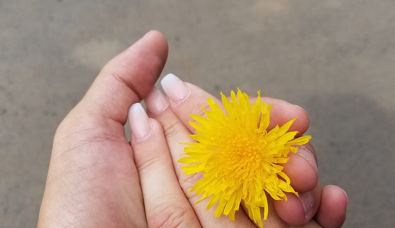 The Weekly Rainbow for Sunday, October 27th, 2019