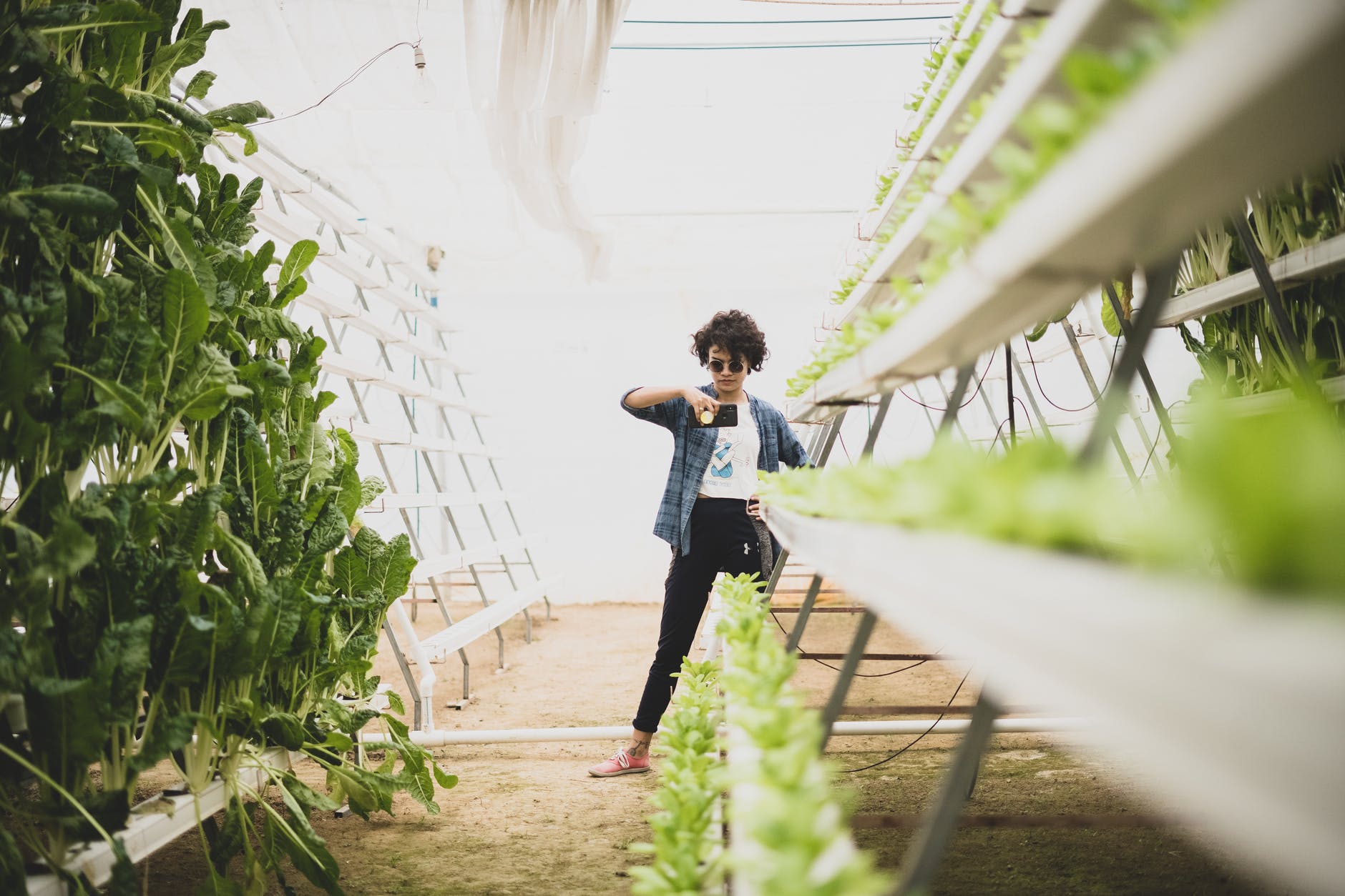vegetables man people woman